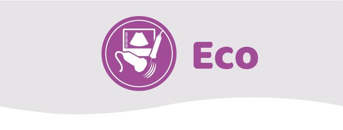 MEP